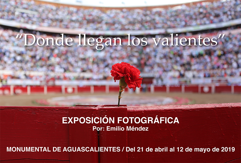 dondellegan dondellegan