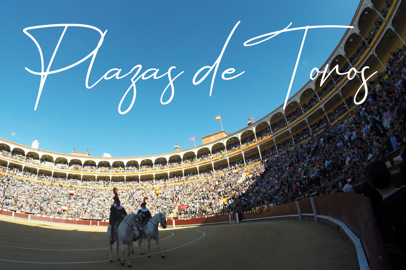 plazasdetoros plazasdetoros