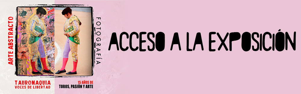1accesoalaexpo